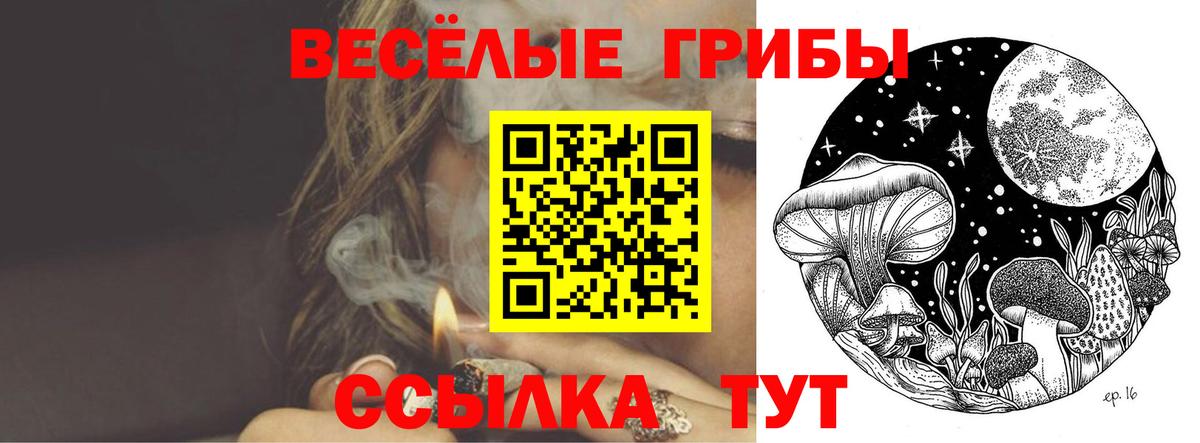 Галлюциногенные грибы прущие грибы Ростов Великий